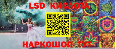 гидра Ставрополь