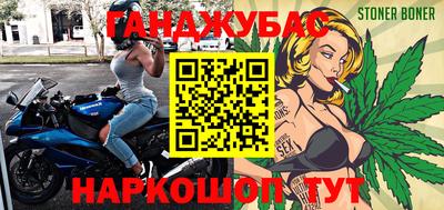 гидра Ставрополь