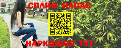 гидра Ставрополь