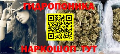 гидра Ставрополь