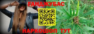 гидра Ставрополь